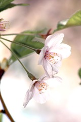 IMG_4562副本.jpg