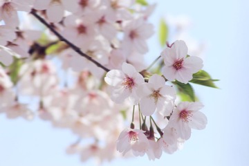 IMG_4534副本.jpg