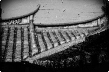 IMGP5665-3