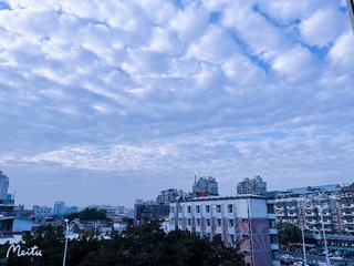 A0936360-3916-4335-825C-B2F9A95C709A/L0/001