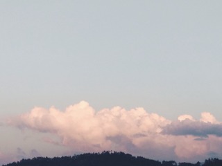 1155711