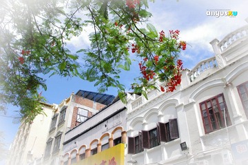 XGY_0087.jpg