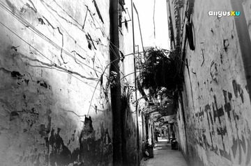 XGY_0132.jpg