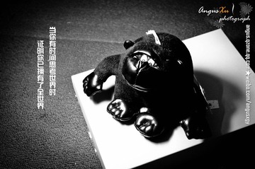 XGY_0224副本.jpg