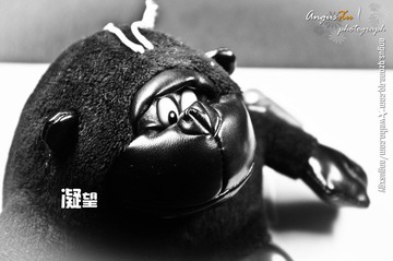 XGY_0228副本.jpg