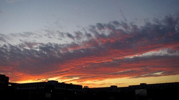 292647B2-33F3-4D56-9116-6E69C348C98B/L0/001