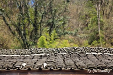 IMG_3705 副本.jpg