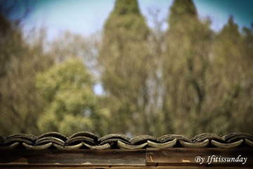 IMG_3755 副本.jpg