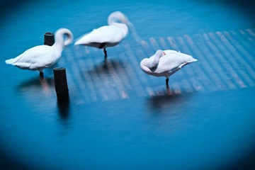 IMG_3226.jpg