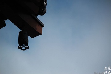 IMG_5525.jpg