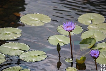 IMG_5542.jpg