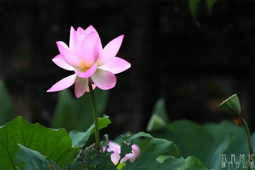 IMG_5722.jpg