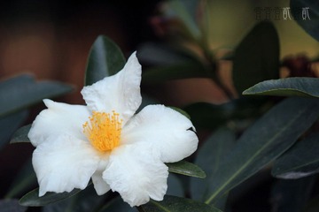 IMG_4163.jpg