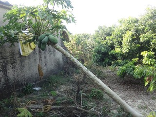 DSC00877.JPG
