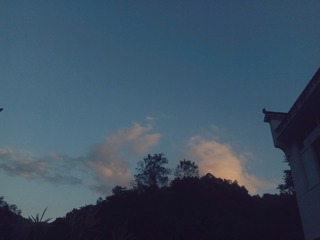 482392