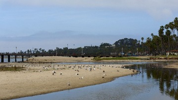 _DSC0557.jpg