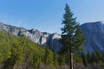 _DSC0840.jpg