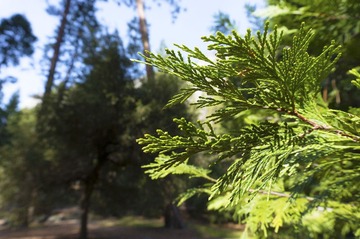 _DSC0882.jpg