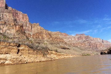 _DSC1181.jpg