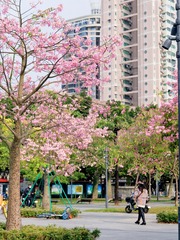 C505112C-30C4-47E4-AEE3-52414457A2A2/L0/001