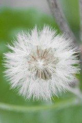 B396A93F-71A2-4582-8617-D48DB68F46DF/L0/001