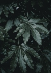19F7B0F2-EBAD-45C1-9858-DB8C1DF07C40/L0/001