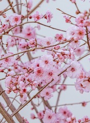 0A840701-D6A9-4FB0-AD50-3E221D90DD61/L0/001