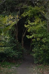 B2E0AF31-6056-4C67-894A-342613430288/L0/001