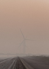 87C87482-A014-4521-8002-4F156007A7BC/L0/001