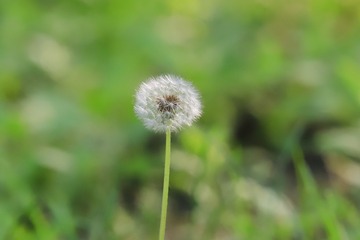 0A323853-01B1-44B4-8E15-3A2686A49382/L0/001