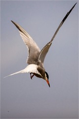 A0E434B3-8D72-4FEB-9E3F-5461F62C6856/L0/001