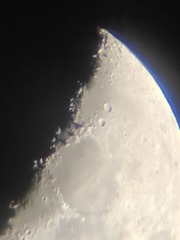 1000081804