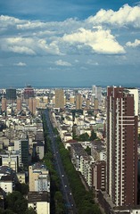 IMGP6436.jpg