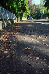 DPP_2713.JPG