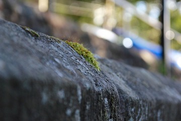 DPP_2714.JPG