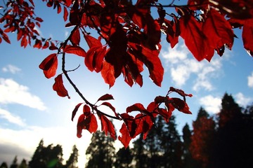 DPP_2720.JPG