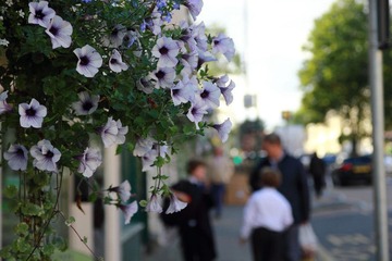 DPP_2722.JPG