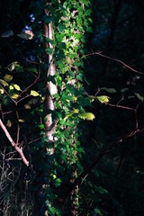 DPP_2725.JPG