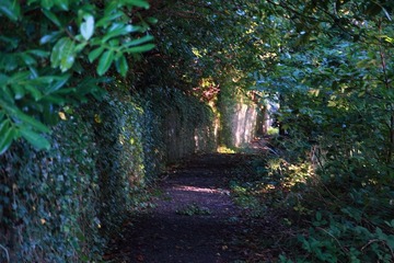 DPP_2726.JPG