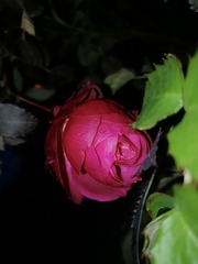 EF4B24D8-6187-47FB-8E1F-D2F8862C00A1/L0/001