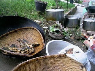 121103A003.jpg
