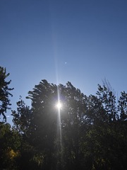 1000007716