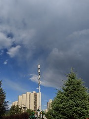 1000008463