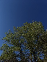 1000007640