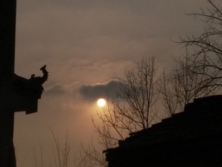 175449