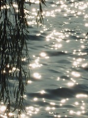 6AA73F0C-FE2A-4F11-99A6-8D214C431968/L0/001