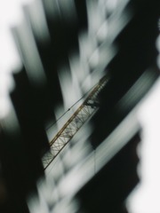 B5DC1BAC-D712-44E7-9A3E-D07913B47894/L0/001