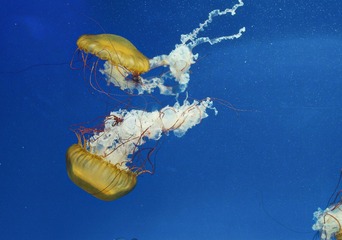 E13B58F4-B510-4FC1-B435-BDA10E69AE07/L0/001