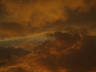 6E032F28-F72B-4216-AA95-54C3057C31AE/L0/001