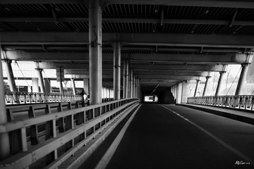05D95A93-9920-4C83-B44F-B6505D138469/L0/001